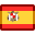 Spanish flag icon